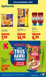 Gazetka promocyjna Lidl - GAZETKA - Gazetka - ważna od 21.01 do 21.01.2026 - strona 61 - produkty: Ketchup, Danio, Kubuś, Pudliszki, Frytki