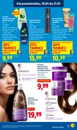 Gazetka promocyjna Lidl - GAZETKA - Gazetka - ważna od 21.01 do 21.01.2026 - strona 67 - produkty: Schwarzkopf, Taft, Schauma, Szampon, Lakier do włosów, Odżywka, Maska, Olej, Lakier