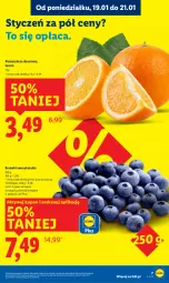Gazetka promocyjna Lidl - GAZETKA - Gazetka - ważna od 21.01 do 21.01.2026 - strona 7 - produkty: Ser, Pomarańcze, Deser