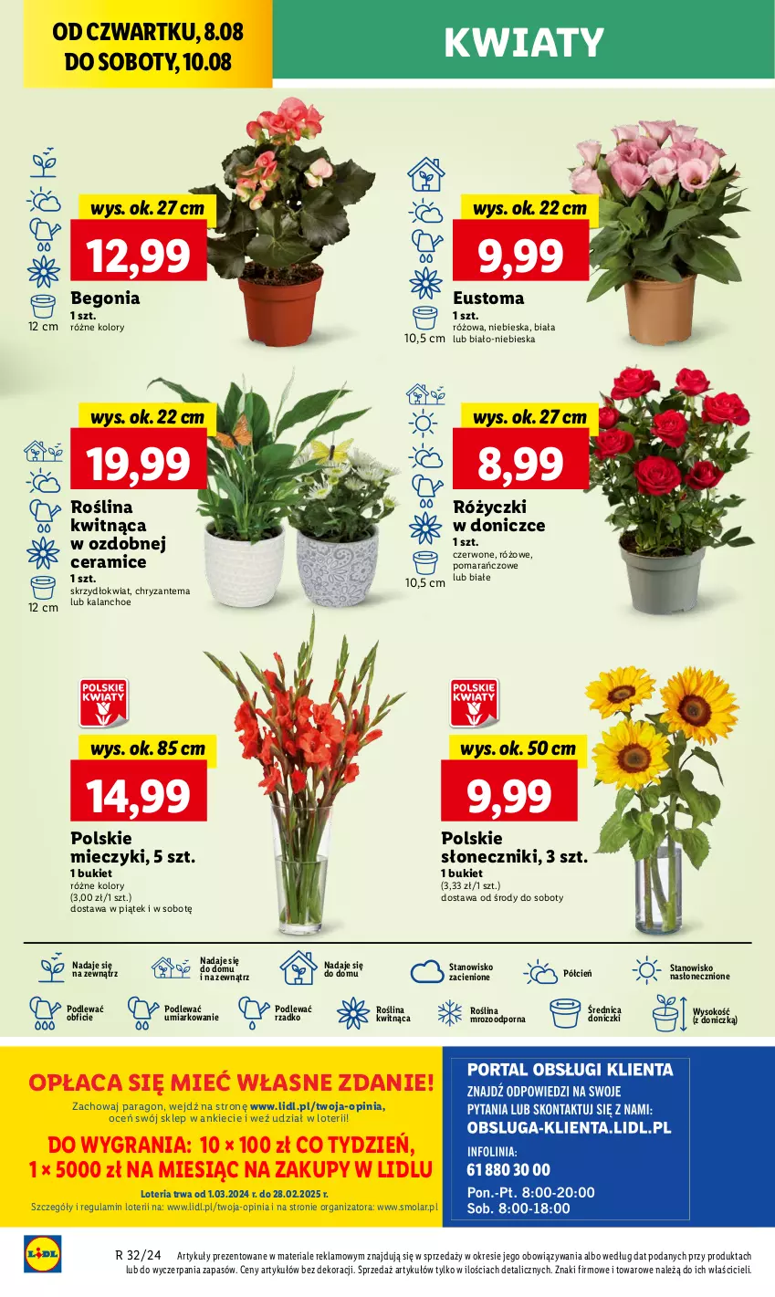 Gazetka promocyjna Lidl - GAZETKA - ważna 08.08 do 10.08.2024 - strona 46 - produkty: Bukiet, Chryzantema, Cień, Gra, Kalanchoe, Miecz, Mola, O nas, Por, Sok