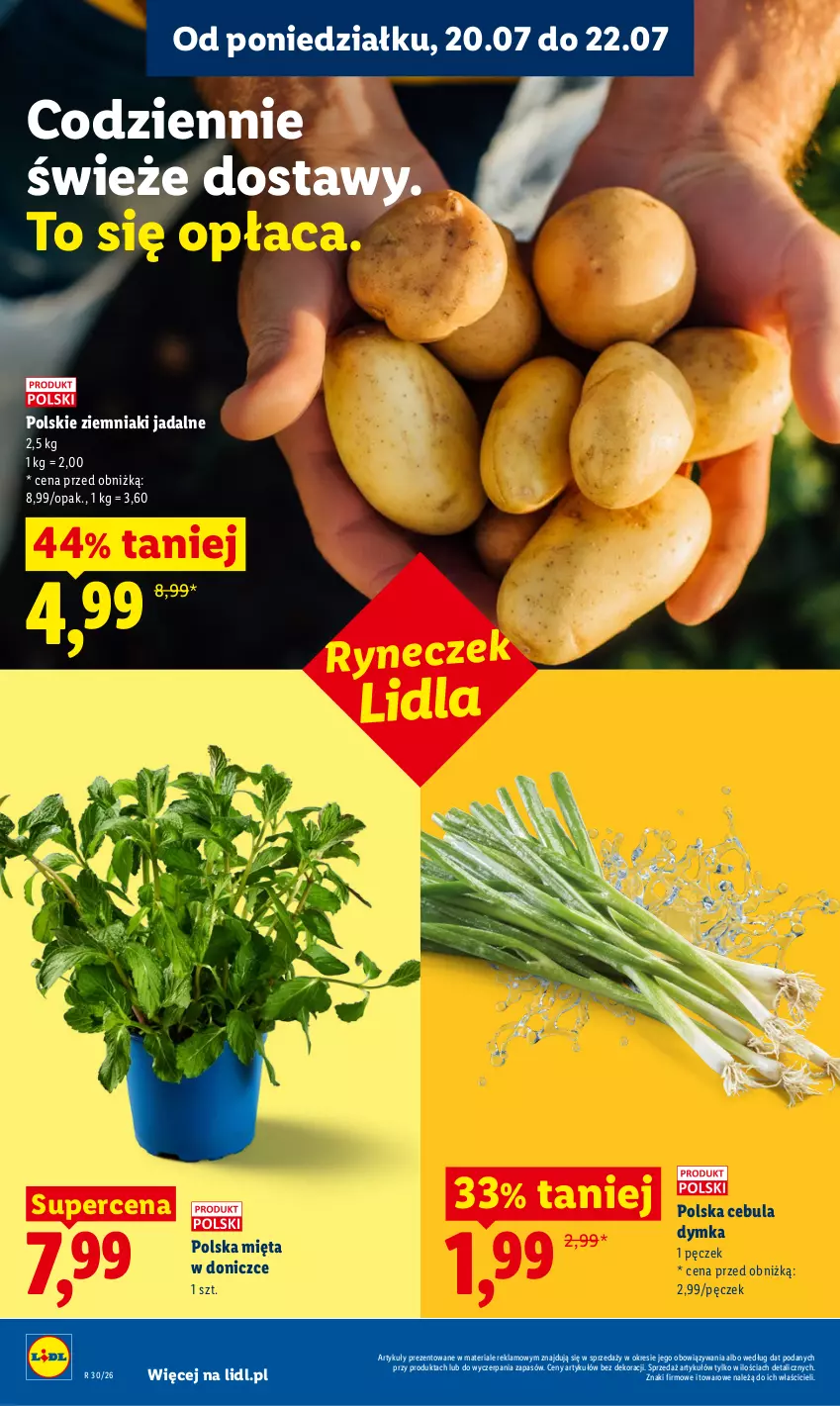 Gazetka promocyjna Lidl - Gazetka ważna od 20.07 do 22.07 - ważna 20.07 do 22.07.2026 - strona 50 - produkty: Cebula, Mięta, Ziemniaki