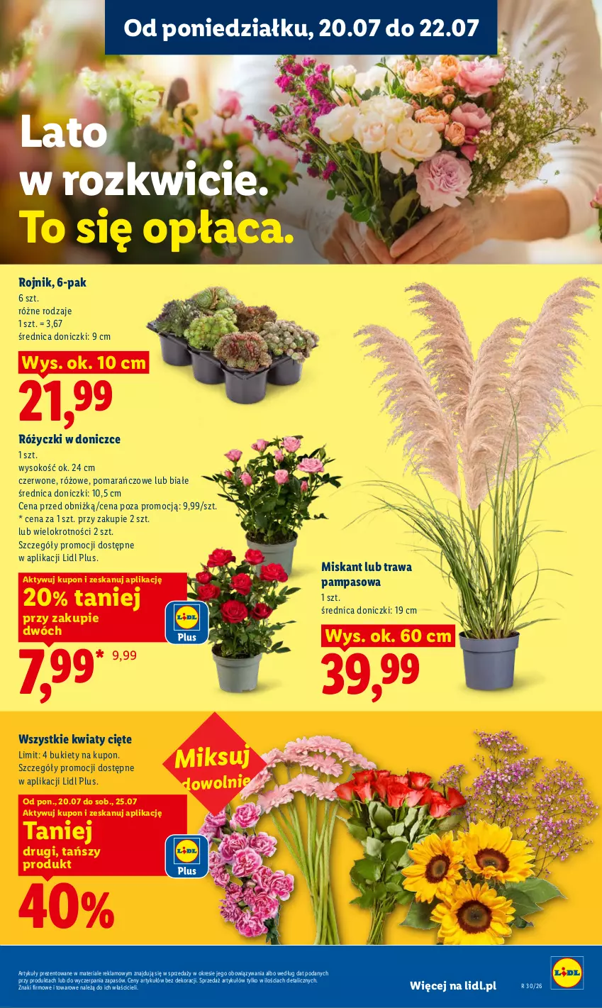 Gazetka promocyjna Lidl - Gazetka ważna od 20.07 do 22.07 - ważna 20.07 do 22.07.2026 - strona 99 - produkty: Bukiet, Kwiaty cięte, Miska, Sok