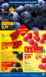 Gazetka promocyjna Lidl - Gazetka ważna od 20.07 do 22.07 - Gazetka - ważna od 22.07 do 22.07.2026 - strona 49 - produkty: Por, Gra, Jeżyny, Porzeczki czerwone, Maliny