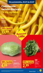 Gazetka promocyjna Lidl - Gazetka ważna od 20.07 do 22.07 - Gazetka - ważna od 22.07 do 22.07.2026 - strona 51 - produkty: Sałata masłowa, Sałat, Fasola, Fasola szparagowa, Masło, Fa