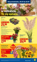Gazetka promocyjna Lidl - Gazetka ważna od 20.07 do 22.07 - Gazetka - ważna od 22.07 do 22.07.2026 - strona 99 - produkty: Sok, Kwiaty cięte, Bukiet, Miska
