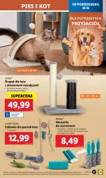 Gazetka promocyjna Lidl - GAZETKA - Gazetka - ważna od 02.11 do 02.11.2024 - strona 29 - produkty: Zabawka, Drapak, Fa