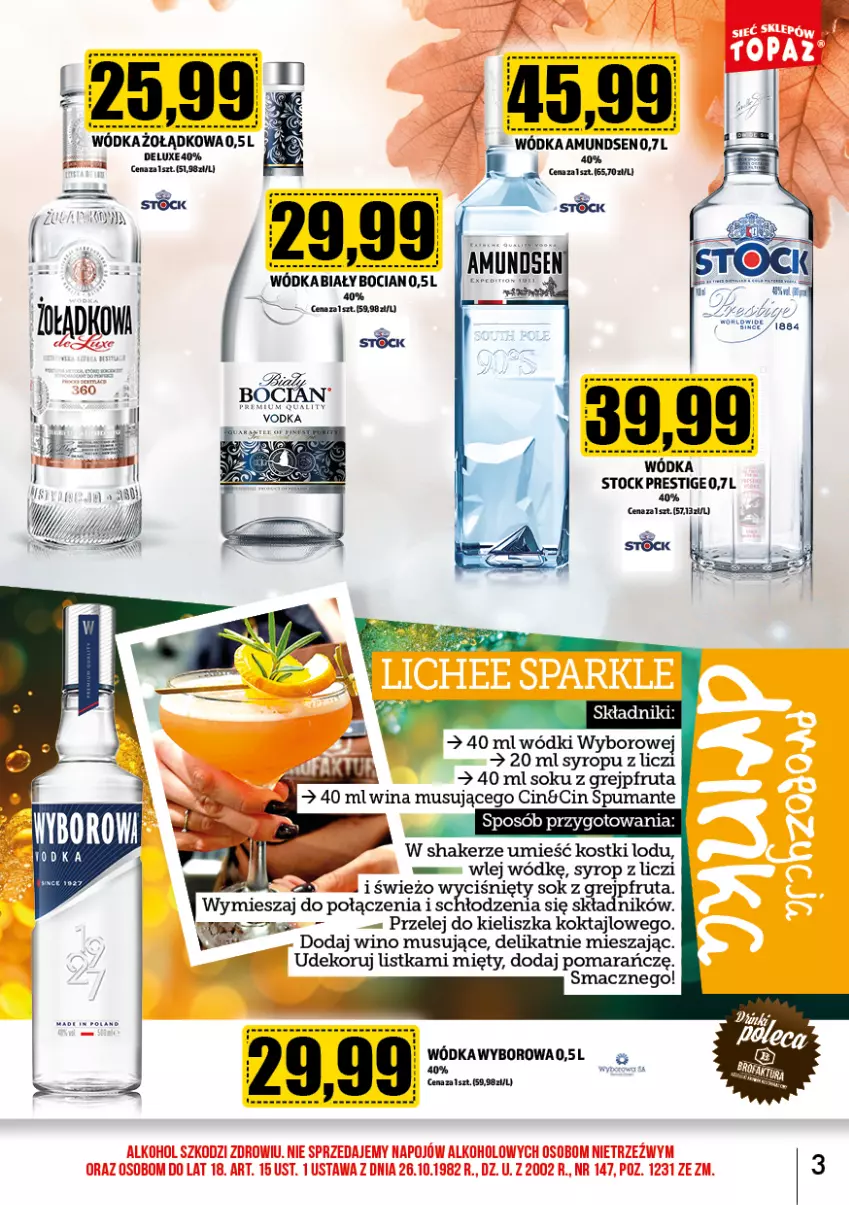 Gazetka promocyjna Topaz - Gazetka - ważna 02.11 do 30.11.2024 - strona 5 - produkty: Amundsen, Grejpfrut, Liczi, Mus, Puma, Sok, Stock, Syrop, Wino, Wino musujące, Wódka, Wyborowa