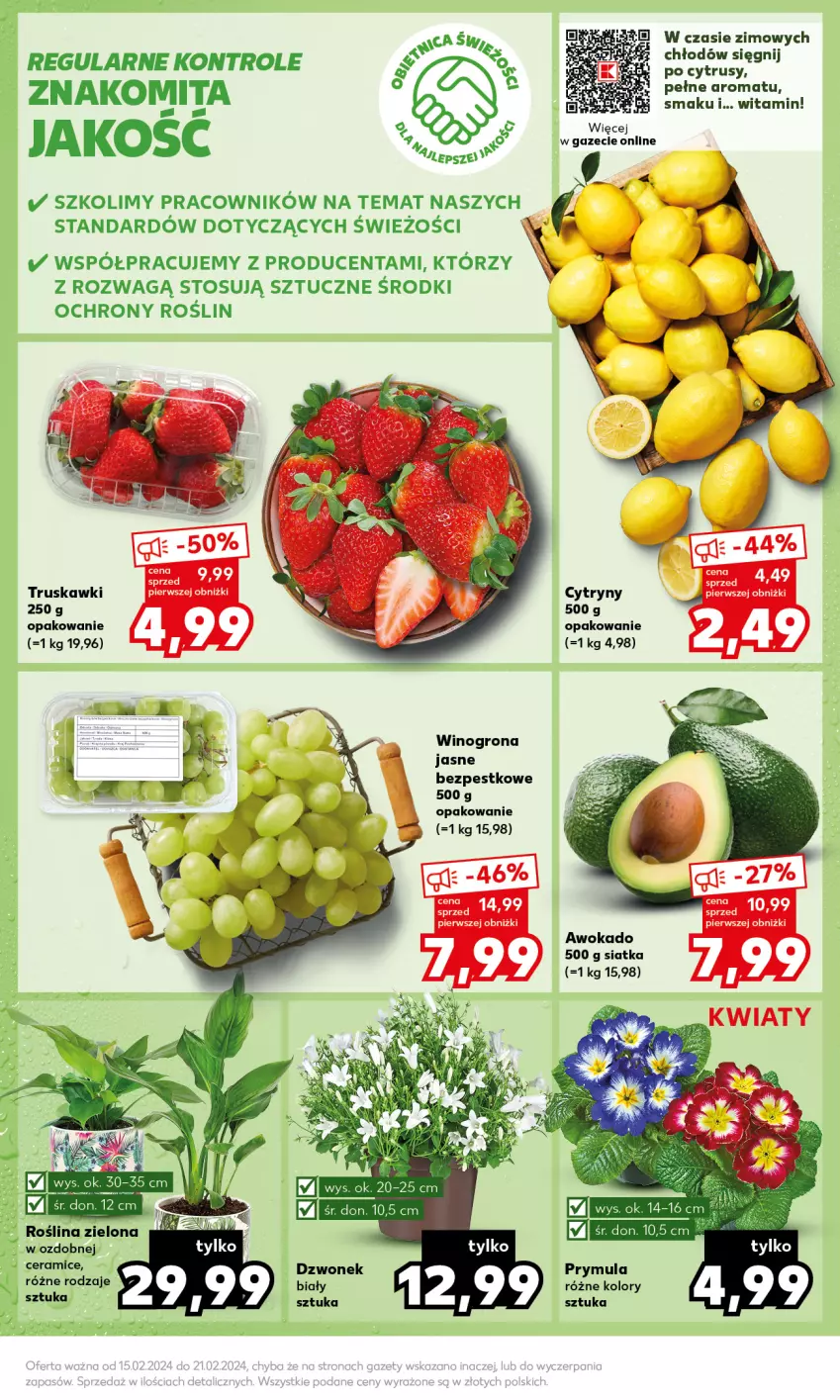 Gazetka promocyjna Kaufland - Mocny Start - ważna 19.02 do 21.02.2024 - strona 19 - produkty: Cytryny, Dzwonek, Prymula, Siatka, Truskawki, Wino, Winogrona