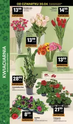 Gazetka promocyjna Delikatesy Centrum - Franczyza DC18 Czwartek - Gazetka - ważna od 06.05 do 06.05.2026 - strona 38 - produkty: Gerber, Surf, Bukiet