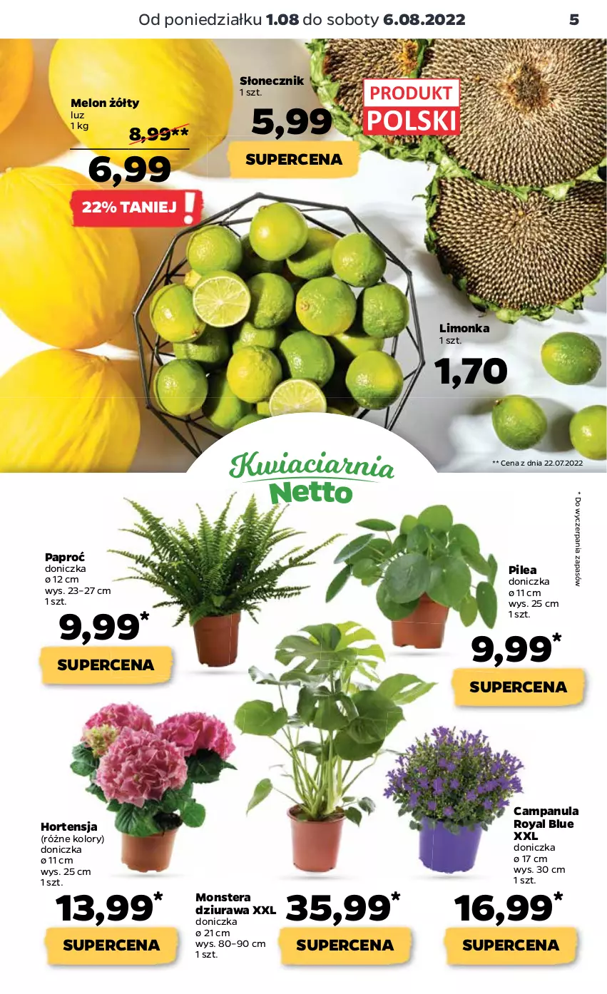 Gazetka promocyjna Netto - Artykuły spożywcze - ważna 01.08 do 06.08.2022 - strona 5 - produkty: Campanula, Limonka, Melon, Tera