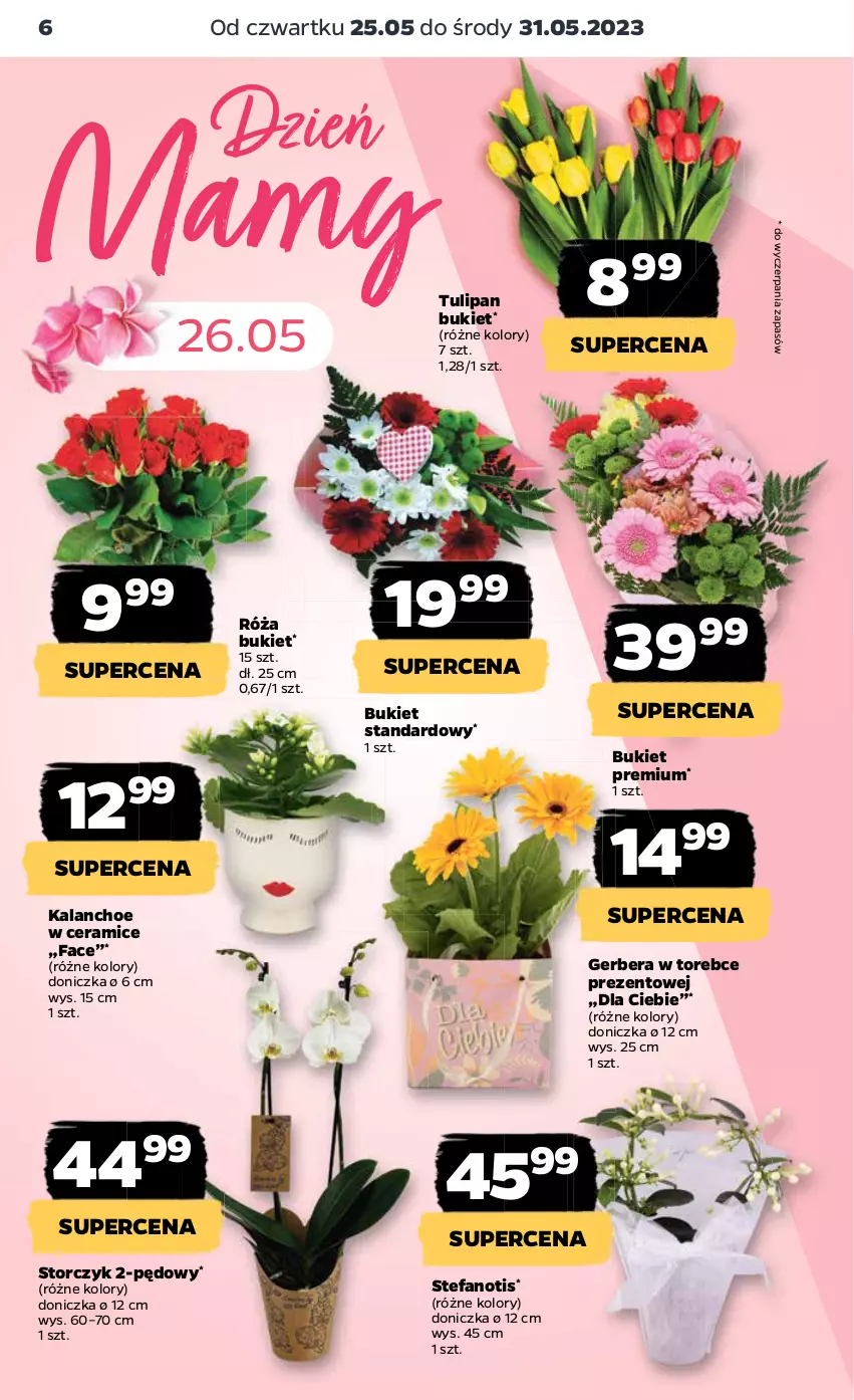 Gazetka promocyjna Netto - Artykuły spożywcze - ważna 25.05 do 31.05.2023 - strona 6 - produkty: Bukiet, Fa, Gerber, Kalanchoe, Róża, Storczyk, Tulipan