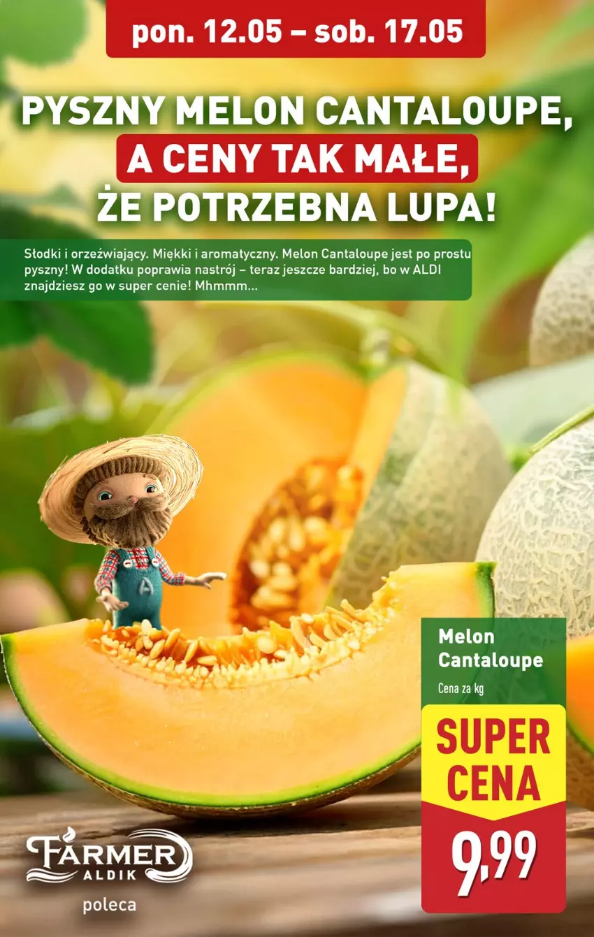 Gazetka promocyjna Aldi - Pełna oferta - ważna 12.05 do 17.05.2025 - strona 4 - produkty: Melon, Tera