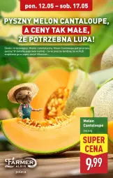 Gazetka promocyjna Aldi - Pełna oferta - Gazetka - ważna od 17.05 do 17.05.2025 - strona 4 - produkty: Tera, Melon