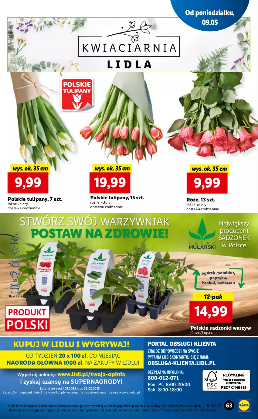 Gazetka promocyjna Lidl - GAZETKA - ważna 09.05 do 11.05.2022 - strona 63 - produkty: Gry, Mola, Ogórek, Papryka, Tulipan, Zdrowie