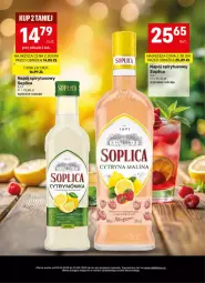 Gazetka promocyjna Delikatesy Centrum - Delibarek DC22-DC23 - Gazetka - ważna od 10.06 do 10.06.2026 - strona 13 - produkty: Rama, Soplica, Napój