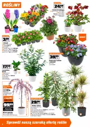 Gazetka promocyjna Obi - Gazetka OBI - Gazetka - ważna od 24.03 do 24.03.2026 - strona 2 - produkty: Cebula, Gry, Gra, Hiacynt, Prymula, Rozdrabniacz, Pojemnik, Laur, Nawóz, Ogród
