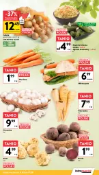 Gazetka promocyjna Intermarche - Gazetka Intermarche - Gazetka - ważna od 17.09 do 17.09.2025 - strona 13 - produkty: Piec, Cebula, Pietruszka, Ogórek, Pieczarka