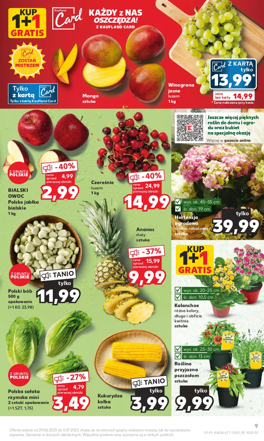 Gazetka promocyjna Kaufland - Gazetka tygodnia - ważna 29.06 do 05.07.2023 - strona 9 - produkty: Ananas, Bukiet, Gra, Grunt, Jabłka, Kalanchoe, Kukurydza, Mango, Sałat, Wino, Winogrona