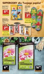 Gazetka promocyjna Delikatesy Centrum - Franczyza DC30 Czwartek - Gazetka - ważna od 29.07 do 29.07.2026 - strona 39 - produkty: Rum, Mop, Pedigree