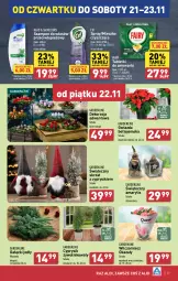 Gazetka promocyjna Aldi - Pełna oferta - Gazetka - ważna od 23.11 do 23.11.2024 - strona 27 - produkty: Sok, Cif, Cyprysik, Tablet, Amarylis, Gwiazda, Mleczko, Szampon, Fairy, Zmywarki, Skrzat, Tabletki do zmywarki, Fa