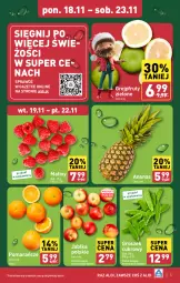 Gazetka promocyjna Aldi - Pełna oferta - Gazetka - ważna od 23.11 do 23.11.2024 - strona 5 - produkty: Ananas, Pomarańcze, Maliny, Groszek, Jabłka, Grejpfrut