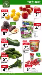 Gazetka promocyjna Intermarche - Gazetka Intermarche - Gazetka - ważna od 31.07 do 31.07.2024 - strona 8 - produkty: Ogórek, Sałat, Avocado, Owoce, Grunt, Grill, Fa