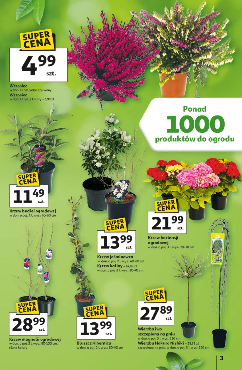 Gazetka promocyjna Auchan - Gazetka Strefa Ogród Hipermarket Auchan - ważna 12.03 do 04.04.2026 - strona 3