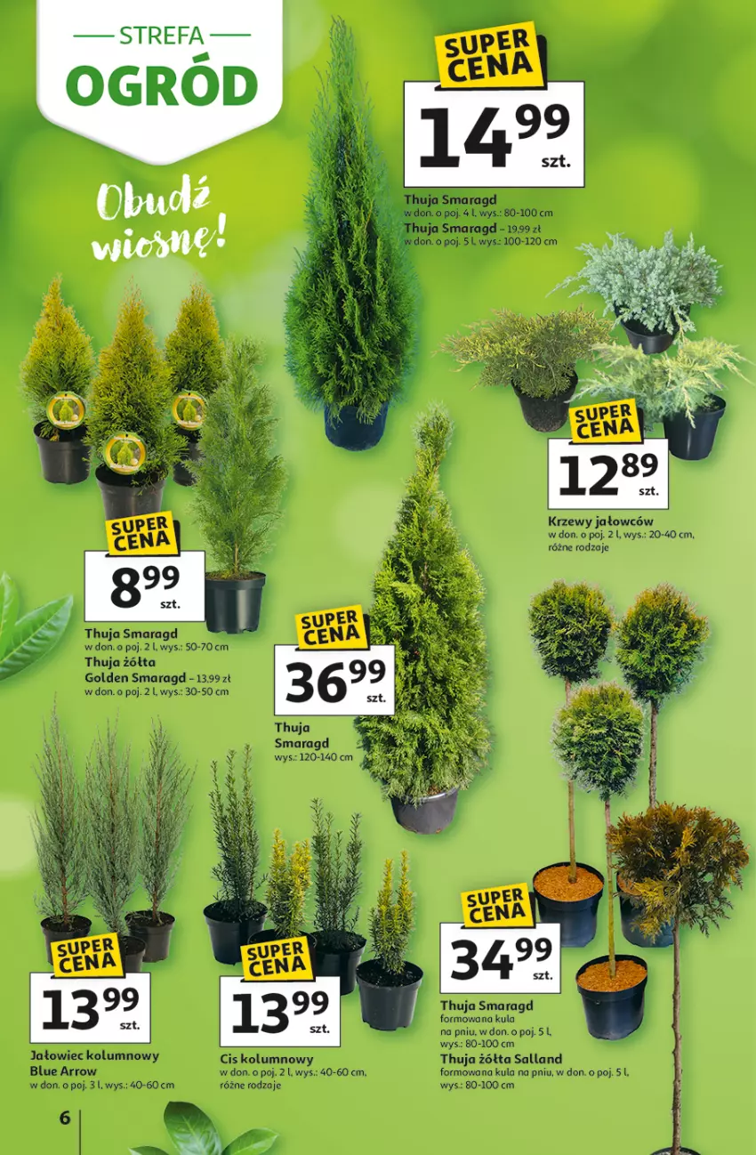 Gazetka promocyjna Auchan - Gazetka Strefa Ogród Hipermarket Auchan - ważna 12.03 do 04.04.2026 - strona 6