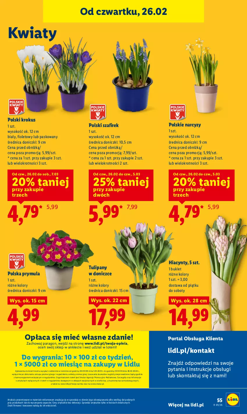 Gazetka promocyjna Lidl - Oferta ważna od 26.02 do 28.02 - ważna 26.02 do 28.02.2026 - strona 55 - produkty: Bukiet, Gra, Hiacynt, Krokus, Laur, Mola, Narcyz, Por, Portal, Prymula, Sok, Tulipan