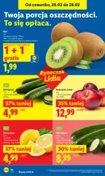 Gazetka promocyjna Lidl - Oferta ważna od 26.02 do 28.02 - Gazetka - ważna od 28.02 do 28.02.2026 - strona 20 - produkty: Por, Gra, Ogórek, Cytryny, Kiwi, Nektar
