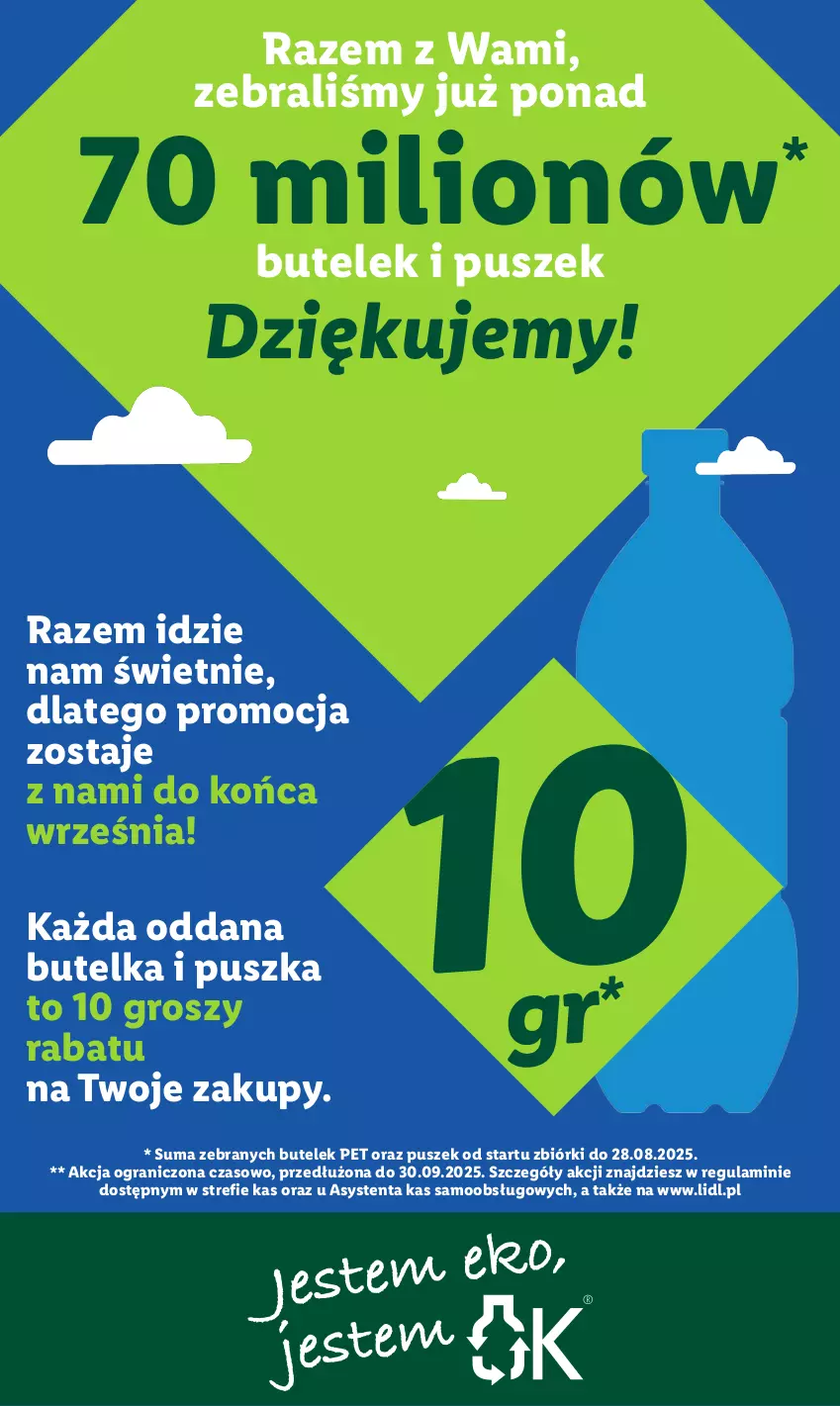 Gazetka promocyjna Lidl - GAZETKA - ważna 01.09 do 03.09.2025 - strona 41 - produkty: Gra, Lion