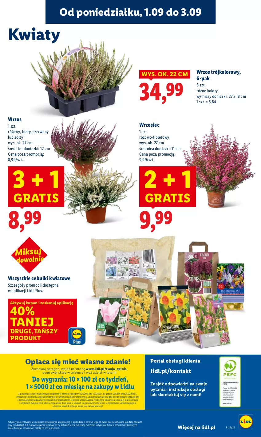 Gazetka promocyjna Lidl - GAZETKA - ważna 01.09 do 03.09.2025 - strona 57 - produkty: Gra, Laur, Mola, Por, Portal