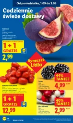 Gazetka promocyjna Lidl - GAZETKA - Gazetka - ważna od 03.09 do 03.09.2025 - strona 18 - produkty: Gra, Jeżyny, Figi, Pomidory