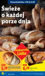 Gazetka promocyjna Lidl - GAZETKA - Gazetka - ważna od 03.09 do 03.09.2025 - strona 22 - produkty: Por, Rust