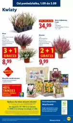 Gazetka promocyjna Lidl - GAZETKA - Gazetka - ważna od 03.09 do 03.09.2025 - strona 57 - produkty: Por, Gra, Portal, Laur, Mola