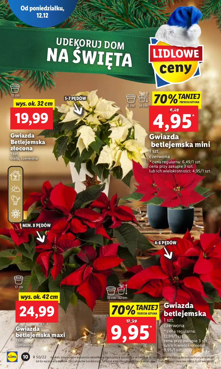 Gazetka promocyjna Lidl - GAZETKA - ważna 12.12 do 14.12.2022 - strona 12 - produkty: Gwiazda