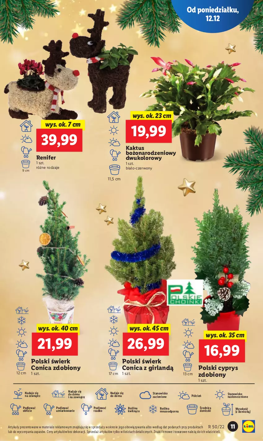 Gazetka promocyjna Lidl - GAZETKA - ważna 12.12 do 14.12.2022 - strona 13 - produkty: Cień, Kaktus, O nas, Por, Renifer, Sok