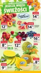 Gazetka promocyjna Intermarche - Gazetka Intermarche - Gazetka - ważna od 16.07 do 16.07.2025 - strona 13 - produkty: Borówka, Morela, Arbuz, Melon, Nektar