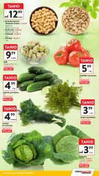 Gazetka promocyjna Intermarche - Gazetka Intermarche - Gazetka - ważna od 16.07 do 16.07.2025 - strona 16 - produkty: Ogórek, Grunt