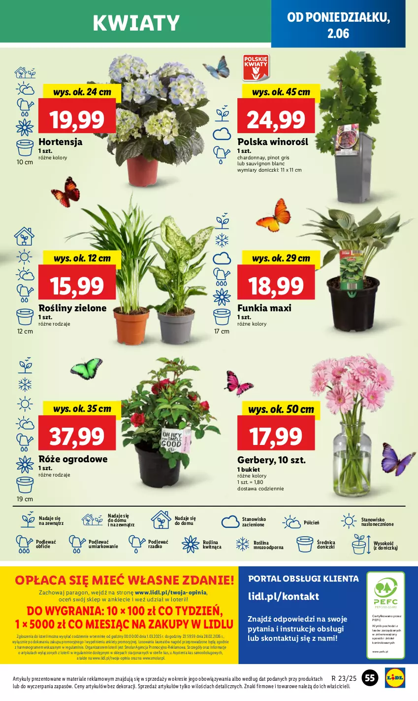 Gazetka promocyjna Lidl - GAZETKA - ważna 02.06 do 04.06.2025 - strona 61 - produkty: Bukiet, Chardonnay, Cień, Gerber, Gra, Laur, Mola, O nas, Por, Portal, Sauvignon Blanc, Sok, Wino