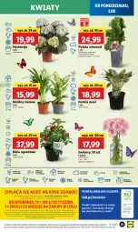 Gazetka promocyjna Lidl - GAZETKA - Gazetka - ważna od 04.06 do 04.06.2025 - strona 61 - produkty: Sok, Por, Gra, Gerber, Chardonnay, Cień, O nas, Portal, Sauvignon Blanc, Laur, Mola, Bukiet, Wino