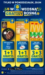 Gazetka promocyjna Lidl - GAZETKA - Gazetka - ważna od 30.04 do 30.04.2024 - strona 14 - produkty: Sok, Ser, Gra, Stek wołowy, Salami, Stek, Ser salami, Olej