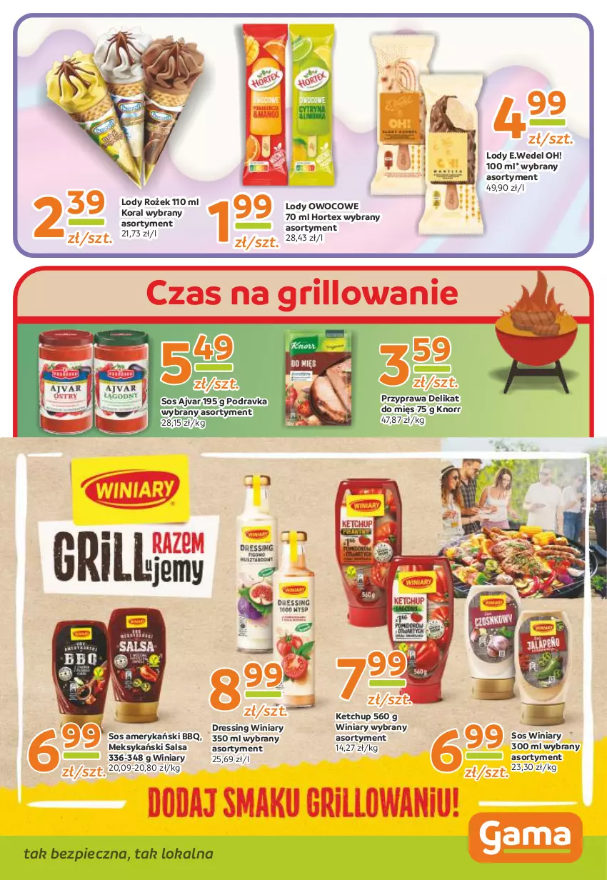 Gazetka promocyjna Gama - Gazetka Gama - ważna 22.05.2023 do 11.05.2024 - strona 7 - produkty: Dres, Grill, Hortex, Ketchup, Knorr, Lody, Piec, Podravka, Salsa, Sos, Winiary