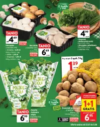 Gazetka promocyjna Intermarche - Gazetka Intermarche - Gazetka - ważna od 05.08 do 05.08.2026 - strona 13 - produkty: Piec, Kolendra, Sałat, Pieczarka, Bazyl, Bazylia, Boczniak, Fa