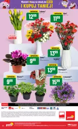 Gazetka promocyjna PoloMarket - Gazetka pomocyjna - Gazetka - ważna od 09.04 do 09.04.2024 - strona 66 - produkty: Campanula, Tulipan, Kwiaty cięte, Wazon, Dres, Bukiet