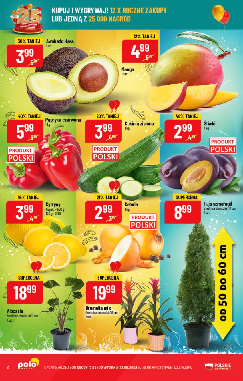 Gazetka promocyjna PoloMarket - Gazetka pomocyjna - ważna 07.09 do 13.09.2022 - strona 2 - produkty: Bromelia, Cebula, Cytryny, Gry