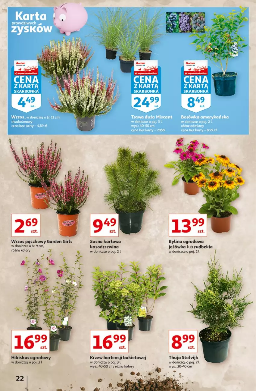 Gazetka promocyjna Auchan - Rysuje się coś wartego zapisania Hipermarkety - ważna 26.08 do 01.09.2021 - strona 22 - produkty: Bukiet, Hibiskus, Sos