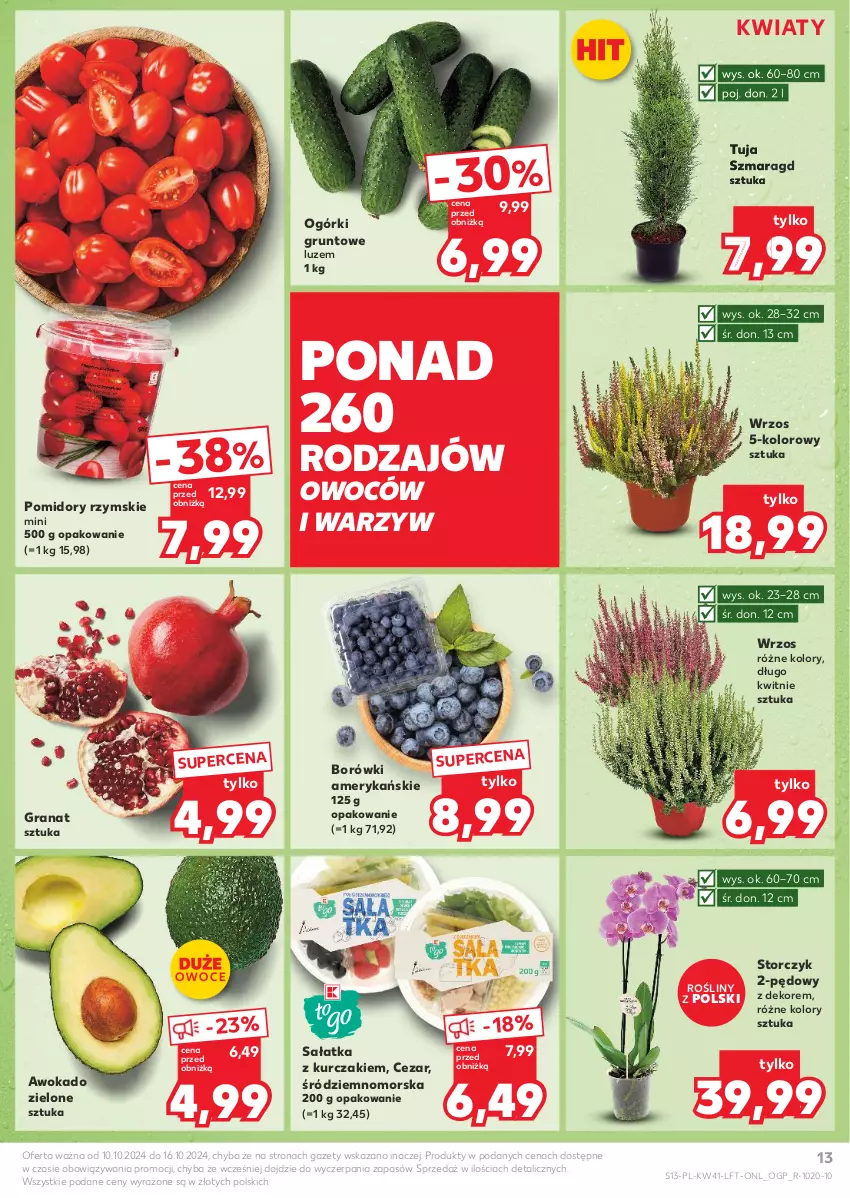 Gazetka promocyjna Kaufland - Gazetka tygodnia - ważna 10.10 do 16.10.2024 - strona 13 - produkty: Gra, Granat, Grunt, Kurczak, Pomidory, Sałat, Sałatka, Storczyk