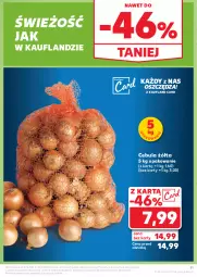 Gazetka promocyjna Kaufland - Gazetka tygodnia - Gazetka - ważna od 16.10 do 16.10.2024 - strona 11 - produkty: Cebula, Kaki