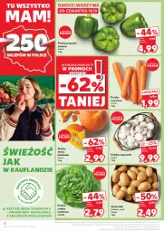 Gazetka promocyjna Kaufland - Gazetka tygodnia - Gazetka - ważna od 16.10 do 16.10.2024 - strona 12 - produkty: Piec, Warzywa, Sok, Por, Sałata masłowa, Rama, Papryka, Ziemniaki, Tran, Sałat, Sport, Owoce, Grunt, Masło